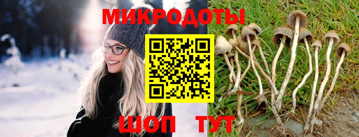 Галлюциногенные грибы MAGIC MUSHROOMS  Вход с VPN  Галлюциногенные грибы Psilocybe  Волгоград 