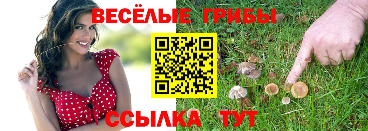 Псилоцибиновые грибы прущие грибы Волгоград